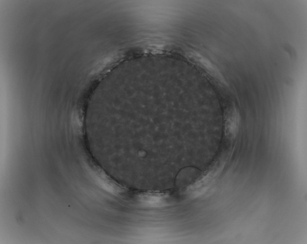 X0000111420661200907131203