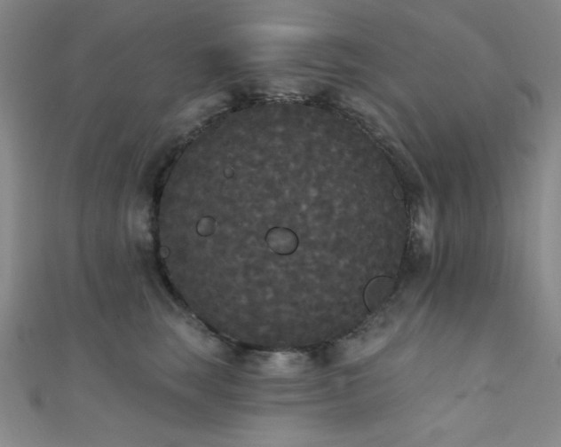 X0000111420663200907131203