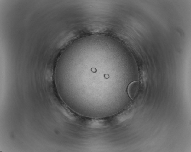 X0000111420664200907131203