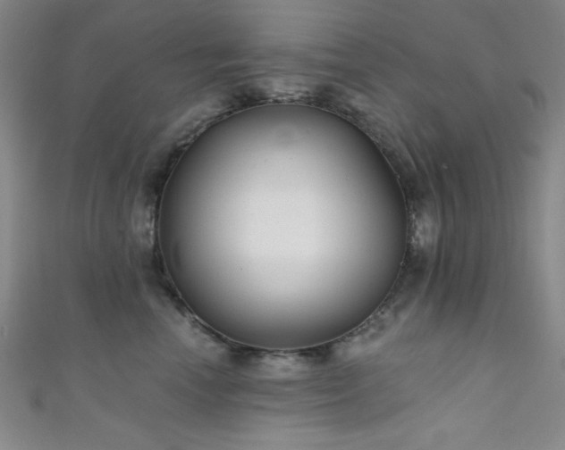 X0000111420666200907131203