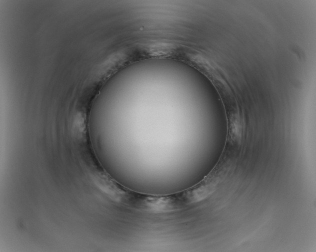 X0000111420667200907131203