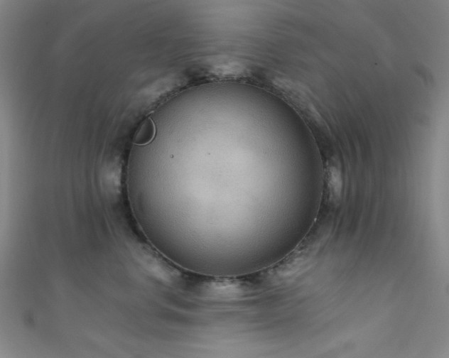 X0000111420668200907131203