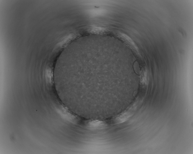 X0000111420669200907131203