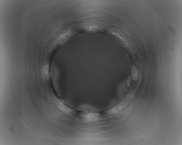 X0000111420670200907131203