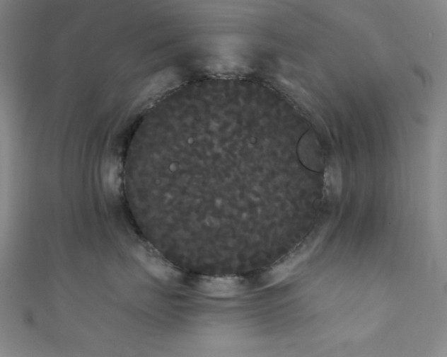 X0000111420671200907131203