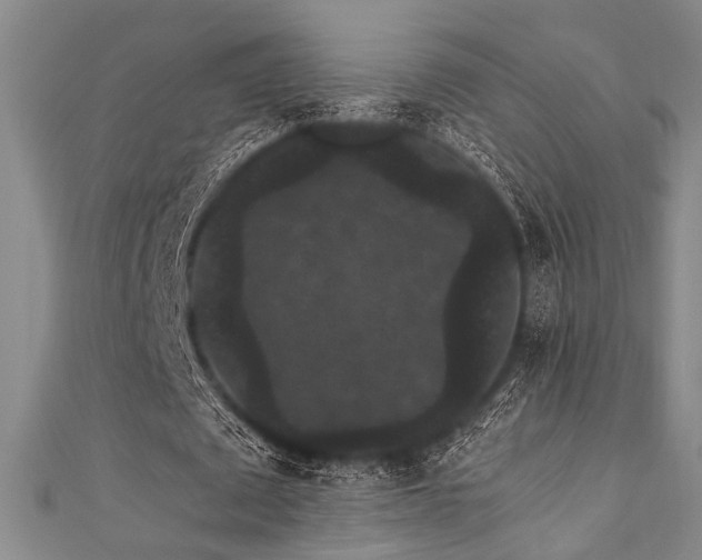 X0000111420673200907131203