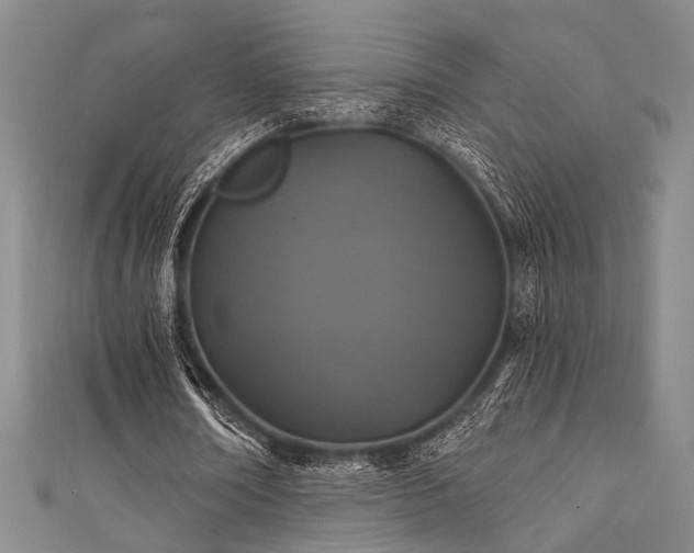 X0000111420674200907131203