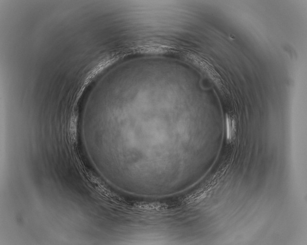 X0000111420675200907131203