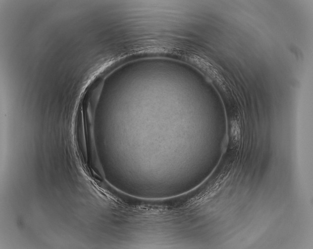 X0000111420676200907131202