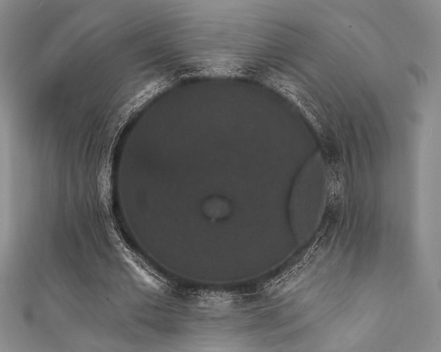 X0000111420677200907131202