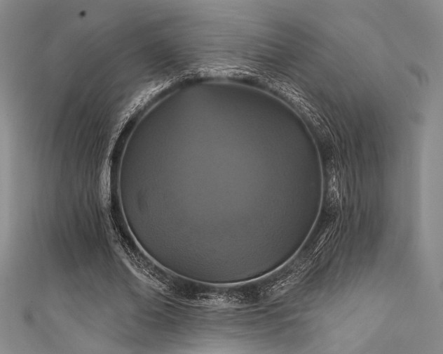 X0000111420678200907131202