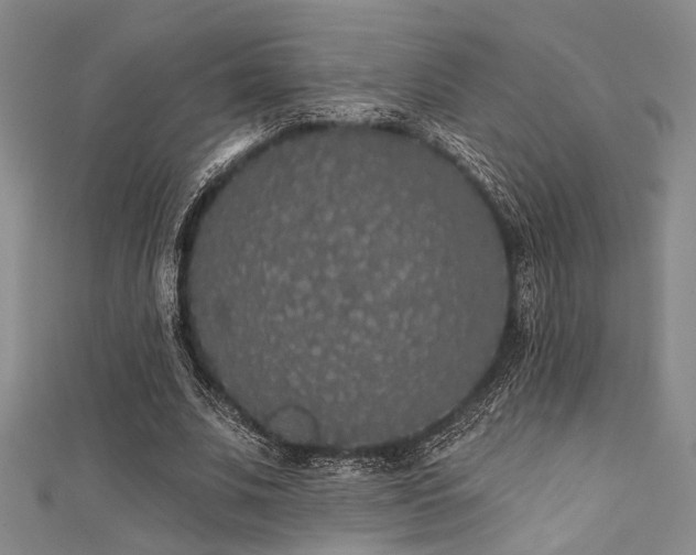 X0000111420679200907131202