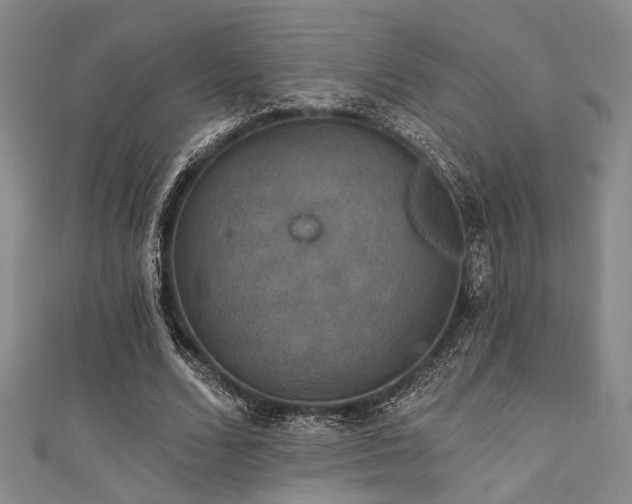 X0000111420680200907131202