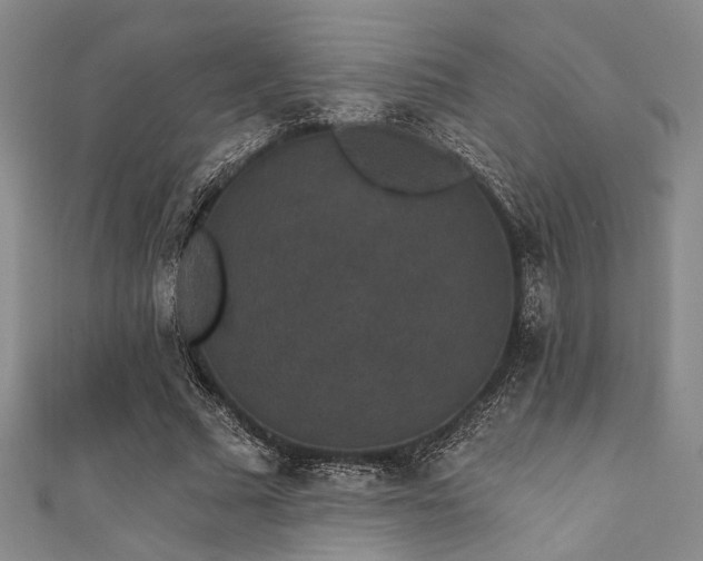 X0000111420681200907131202