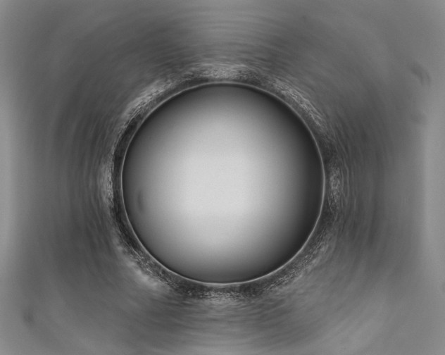 X0000111420682200907131202