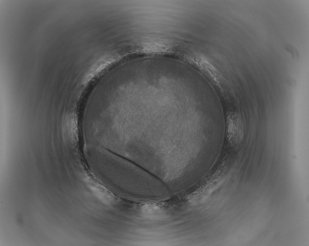 X0000111420684200907131202