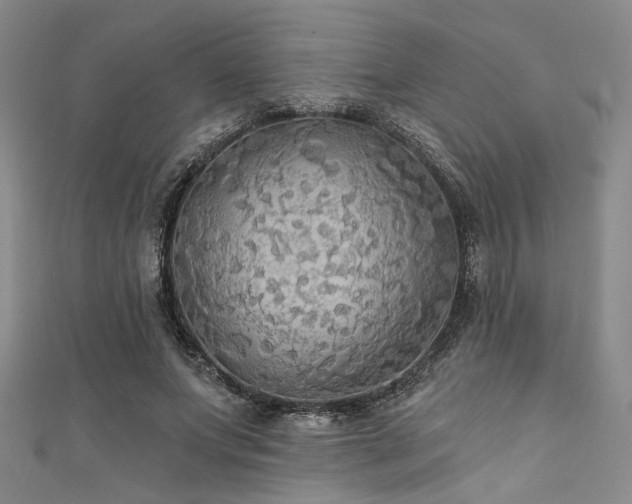 X0000111420687200907131202