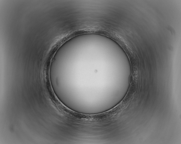 X0000111420688200907131202