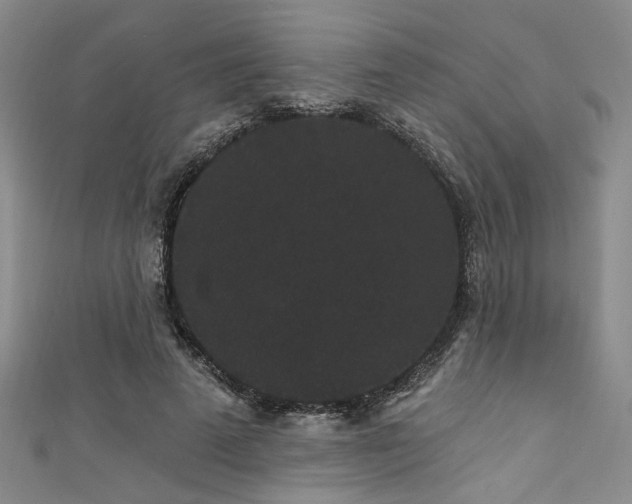 X0000111420689200907131202