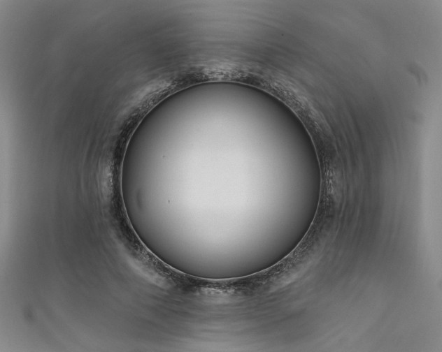 X0000111420690200907131202