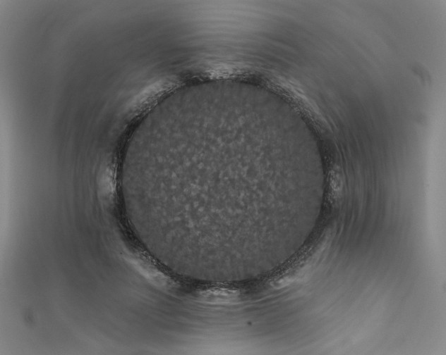 X0000111420691200907131202