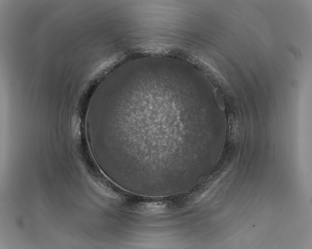 X0000111420692200907131202