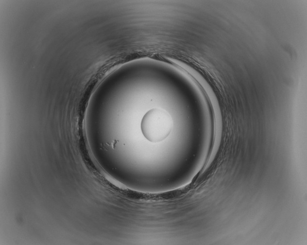 X0000111420693200907131202