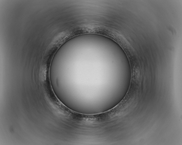 X0000111420694200907131202