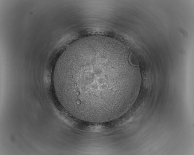 X0000111420695200907131202