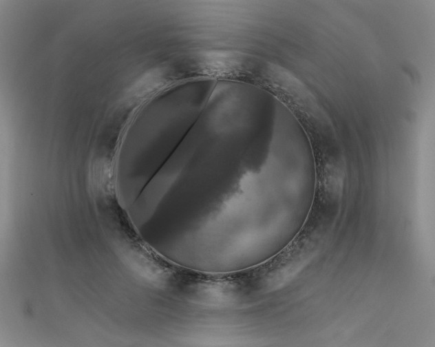 X0000111420696200907131202