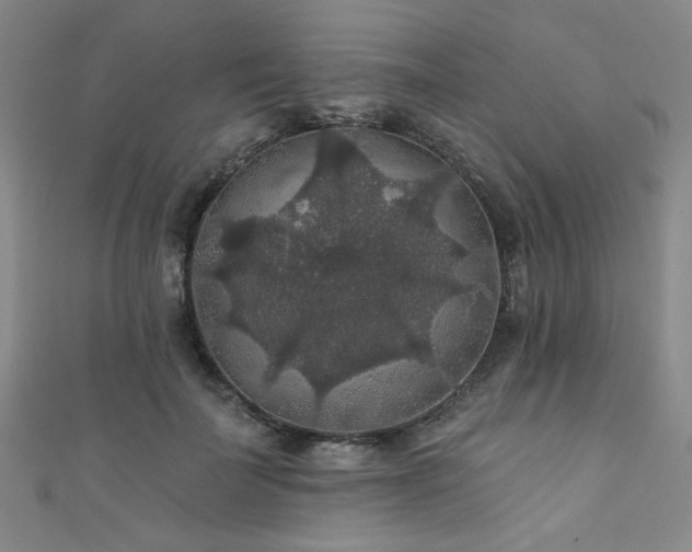 X0000111420699200907131202