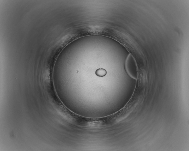 X0000111420700200907131202