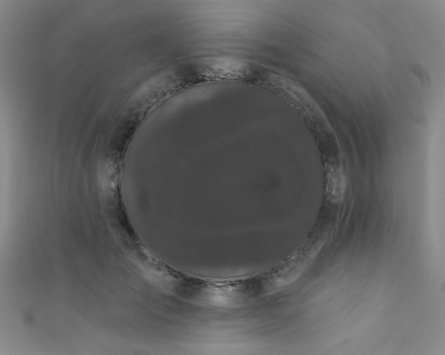 X0000111420701200907131202