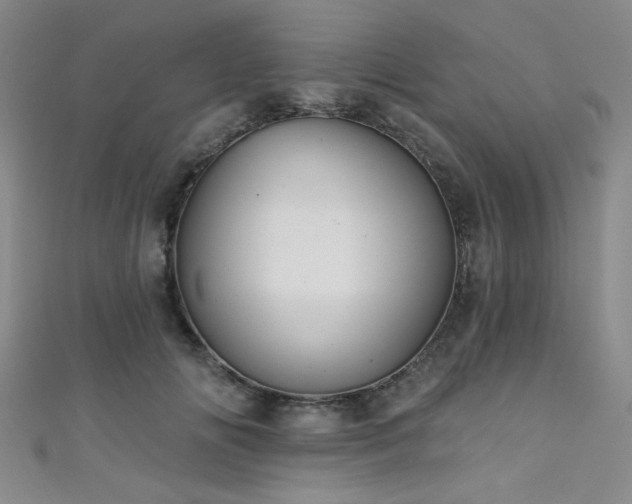 X0000111420702200907131202