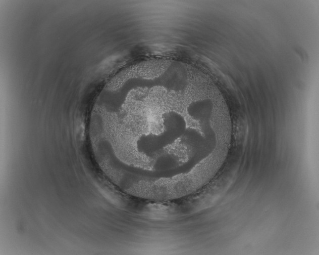 X0000111420703200907131202