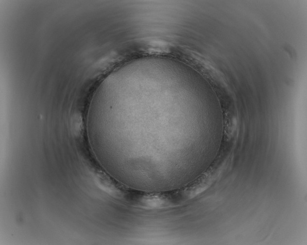 X0000111420704200907131202