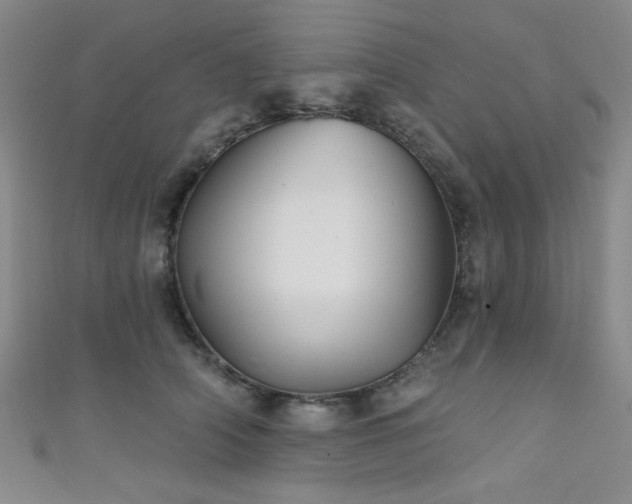 X0000111420706200907131202