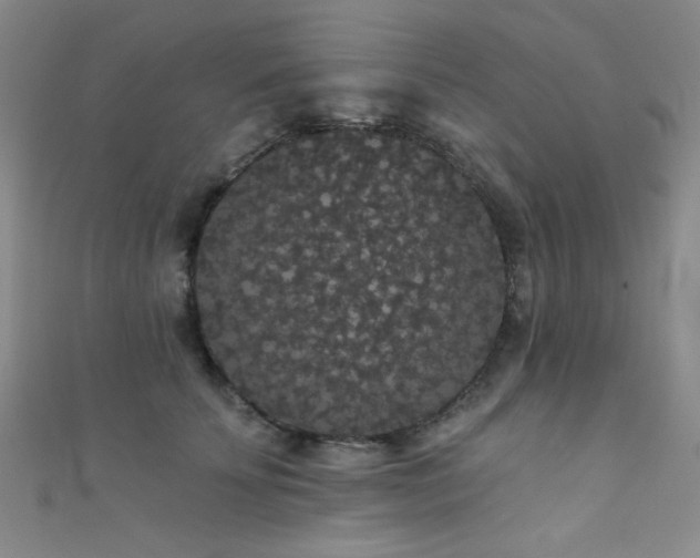 X0000111420707200907131202