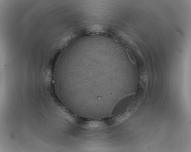 X0000111420708200907131202