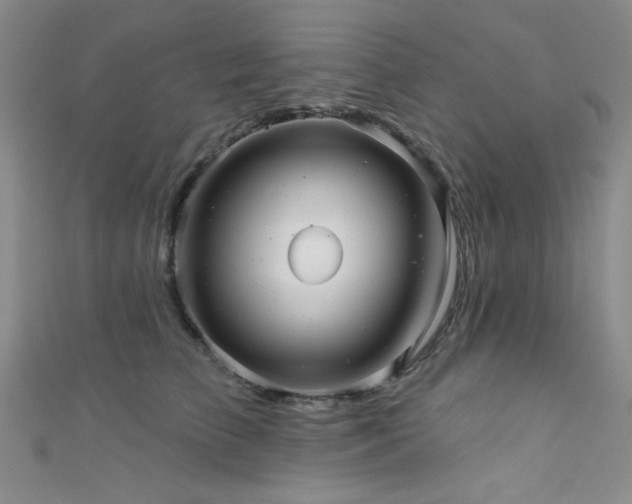 X0000111420709200907131202