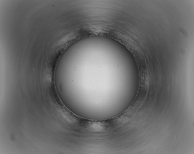 X0000111420710200907131202