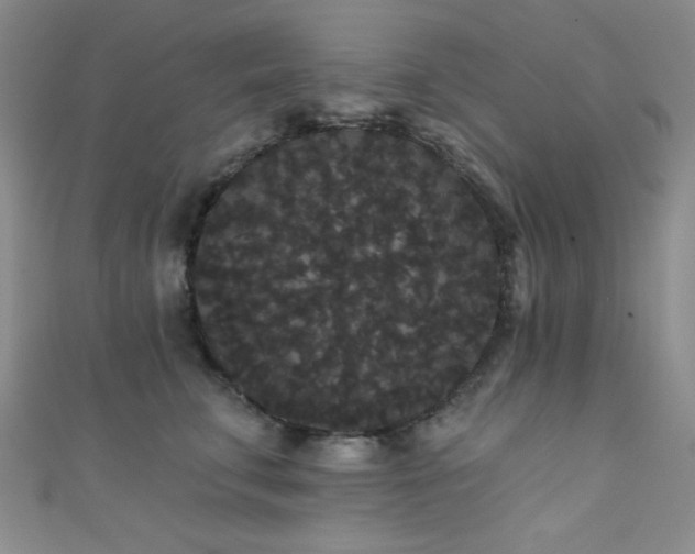 X0000111420711200907131202