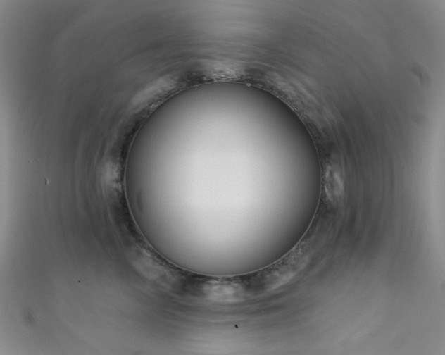 X0000111420714200907131202