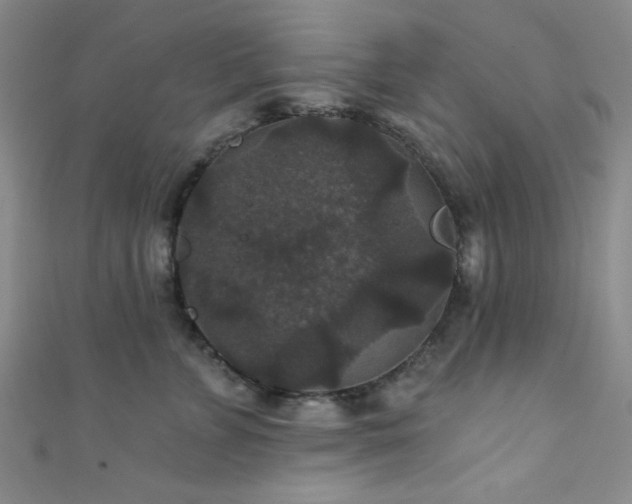 X0000111420715200907131202