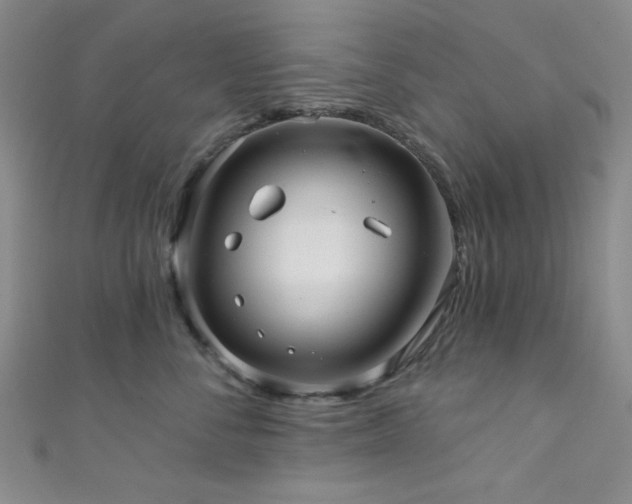 X0000111420716200907131202