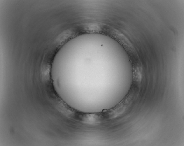 X0000111420717200907131202