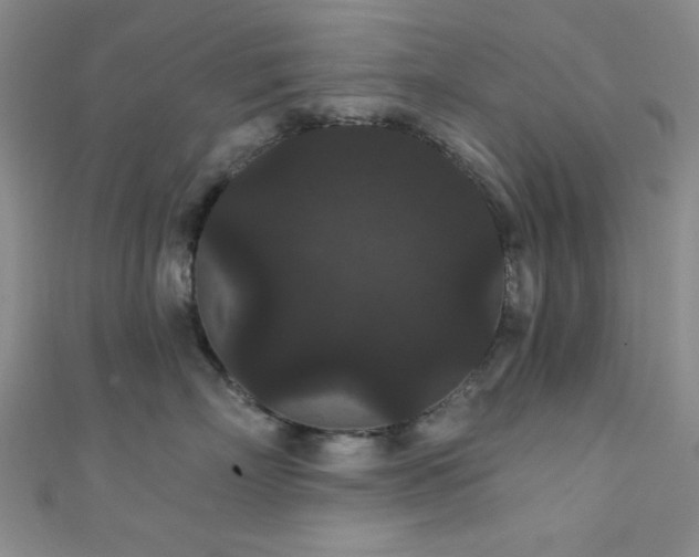 X0000111420718200907131202