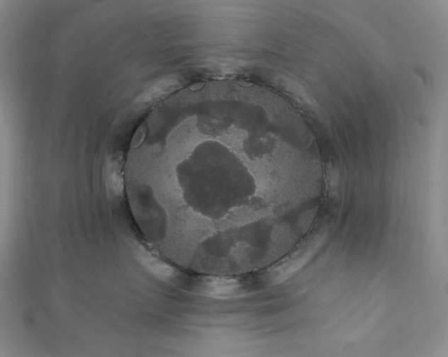 X0000111420719200907131202