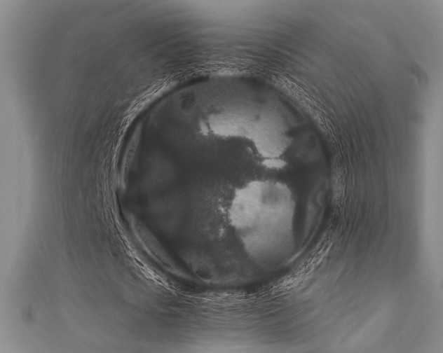 X0000111420721200907131201