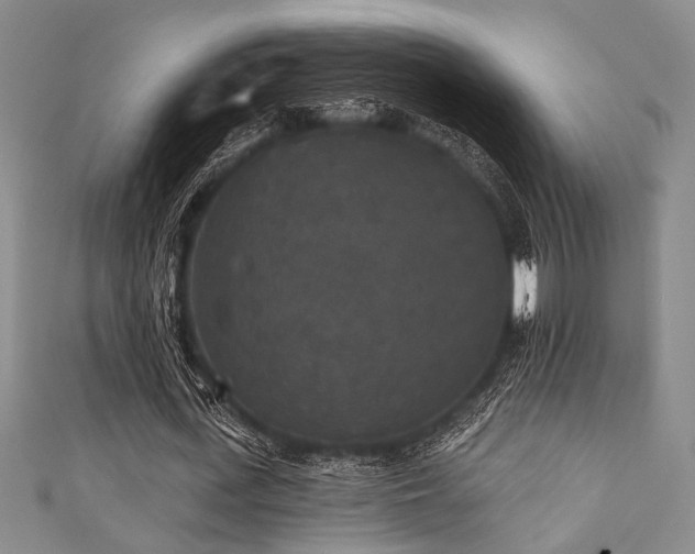 X0000111420723200907131201